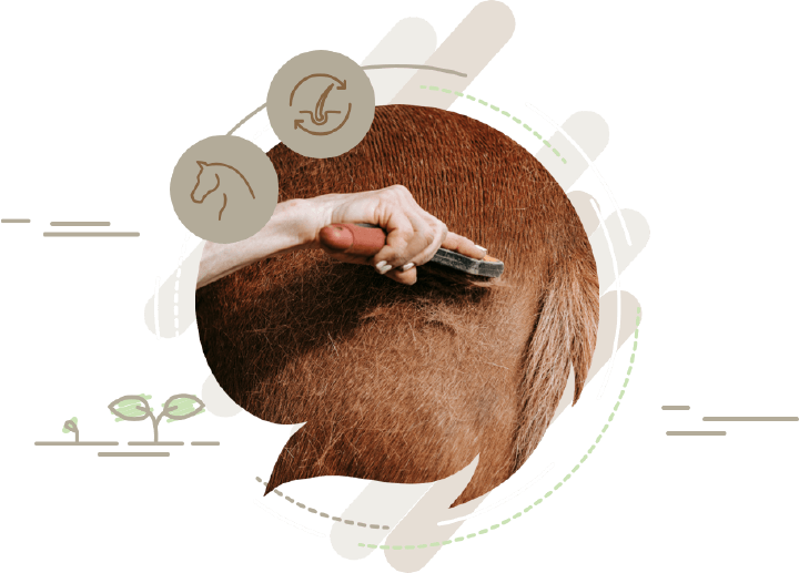 keyvisual fellwechsel